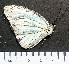  ( - NPV 2)  @11 [ ] Unspecified (default): All Rights Reserved  Unspecified Unspecified