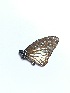  ( - mgr2)  @11 [ ] Unspecified (default): All Rights Reserved  Unspecified Unspecified