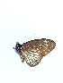  ( - mgr3)  @11 [ ] Unspecified (default): All Rights Reserved  Unspecified Unspecified