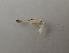  ( - UNMDP-I 128)  @11 [ ] Unspecified (default): All Rights Reserved  Unspecified Unspecified