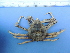  ( - UNMDP-I 248)  @14 [ ] Unspecified (default): All Rights Reserved  Unspecified Unspecified