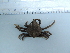  ( - UNMDP-I 255)  @11 [ ] Unspecified (default): All Rights Reserved  Unspecified Unspecified
