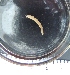 ( - UNMDP-I 391)  @11 [ ] Unspecified (default): All Rights Reserved  Unspecified Unspecified
