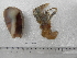 ( - UNMDP-I 478)  @13 [ ] Unspecified (default): All Rights Reserved  Unspecified Unspecified