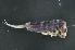  ( - MQI_001)  @14 [ ] Unspecified (default): All Rights Reserved  Unspecified Unspecified