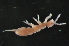  ( - NZADI_032)  @11 [ ] Unspecified (default): All Rights Reserved  Unspecified Unspecified