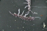  ( - NZADI_092)  @11 [ ] Unspecified (default): All Rights Reserved  Unspecified Unspecified