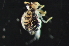  ( - NZCI_039)  @14 [ ] Unspecified (default): All Rights Reserved  Unspecified Unspecified
