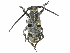  ( - BIOUG36551-F10)  @13 [ ] CreativeCommons - Attribution (2017) CBG Photography Group Centre for Biodiversity Genomics