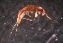  ( - MBC-132)  @11 [ ] No Rights Reserved (2021) Unspecified National Park Service, Central Alaska Network