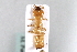  ( - MP00143)  @12 [ ] CreativeCommons - Attribution (2010) Unspecified Centre for Biodiversity Genomics