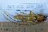 ( - BC2_COL_GFR_009)  @11 [ ] CC-By (2022) Pierre-Henri Dalens Research collection of Pierre-Henri Dalens
