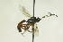  ( - CollHH1024)  @13 [ ] Creative Commons  Attribution Non-Commercial Share-Alike (2018) Hakon Haraldseide Unspecified