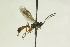 ( - CollHH1025)  @13 [ ] Creative Commons  Attribution Non-Commercial Share-Alike (2018) Hakon Haraldseide Unspecified