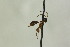  ( - CollHH1053)  @12 [ ] Creative Commons  Attribution Non-Commercial Share-Alike (2018) Hakon Haraldseide Unspecified