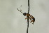  ( - CollHH1064)  @11 [ ] Creative Commons  Attribution Non-Commercial Share-Alike (2018) Hakon Haraldseide Unspecified