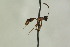  ( - CollHH1065)  @12 [ ] Creative Commons  Attribution Non-Commercial Share-Alike (2018) Hakon Haraldseide Unspecified
