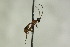  ( - CollHH1066)  @12 [ ] Creative Commons  Attribution Non-Commercial Share-Alike (2018) Hakon Haraldseide Unspecified