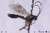  ( - CollHH107)  @13 [ ] CreativeCommons - Attribution Non-Commercial Share-Alike (2018) Hakon Haraldseide NTNU University Museum, Department of Natural History