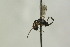  ( - CollHH1075)  @12 [ ] Creative Commons  Attribution Non-Commercial Share-Alike (2018) Hakon Haraldseide Unspecified