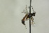  ( - CollHH1076)  @12 [ ] Creative Commons  Attribution Non-Commercial Share-Alike (2018) Hakon Haraldseide Unspecified