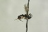  ( - CollHH1078)  @12 [ ] Creative Commons  Attribution Non-Commercial Share-Alike (2018) Hakon Haraldseide Unspecified