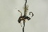  ( - CollHH1088)  @12 [ ] Creative Commons  Attribution Non-Commercial Share-Alike (2018) Hakon Haraldseide Unspecified