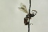  ( - CollHH1089)  @12 [ ] Creative Commons  Attribution Non-Commercial Share-Alike (2018) Hakon Haraldseide Unspecified