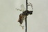  ( - CollHH1090)  @12 [ ] Creative Commons  Attribution Non-Commercial Share-Alike (2018) Hakon Haraldseide Unspecified