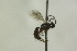  ( - CollHH1091)  @12 [ ] Creative Commons  Attribution Non-Commercial Share-Alike (2018) Hakon Haraldseide Unspecified