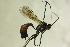 ( - CollHH1131)  @13 [ ] Creative Commons  Attribution Non-Commercial Share-Alike (2018) Hakon Haraldseide Unspecified