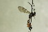  ( - CollHH1155)  @12 [ ] Creative Commons  Attribution Non-Commercial Share-Alike (2018) Hakon Haraldseide Unspecified