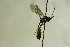  ( - CollHH1156)  @12 [ ] Creative Commons  Attribution Non-Commercial Share-Alike (2018) Hakon Haraldseide Unspecified