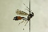  ( - CollHH1157)  @12 [ ] Creative Commons  Attribution Non-Commercial Share-Alike (2018) Hakon Haraldseide Unspecified