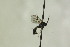  ( - CollHH1162)  @12 [ ] Creative Commons  Attribution Non-Commercial Share-Alike (2018) Hakon Haraldseide Unspecified