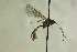  ( - CollHH1169)  @11 [ ] Creative Commons  Attribution Non-Commercial Share-Alike (2018) Hakon Haraldseide Unspecified