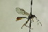  ( - CollHH1170)  @11 [ ] Creative Commons  Attribution Non-Commercial Share-Alike (2018) Hakon Haraldseide Unspecified