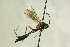  ( - CollHH1234)  @13 [ ] Creative Commons  Attribution Non-Commercial Share-Alike (2018) Hakon Haraldseide Unspecified