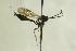  ( - CollHH1235)  @13 [ ] Creative Commons  Attribution Non-Commercial Share-Alike (2018) Hakon Haraldseide Unspecified