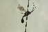  ( - CollHH1253)  @11 [ ] Creative Commons  Attribution Non-Commercial Share-Alike (2018) Hakon Haraldseide Unspecified