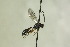  ( - CollHH1254)  @11 [ ] Creative Commons  Attribution Non-Commercial Share-Alike (2018) Hakon Haraldseide Unspecified