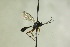 ( - CollHH1255)  @11 [ ] Creative Commons  Attribution Non-Commercial Share-Alike (2018) Hakon Haraldseide Unspecified