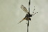  ( - CollHH1260)  @11 [ ] Creative Commons  Attribution Non-Commercial Share-Alike (2018) Hakon Haraldseide Unspecified