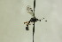  ( - CollHH1261)  @11 [ ] Creative Commons  Attribution Non-Commercial Share-Alike (2018) Hakon Haraldseide Unspecified