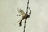  ( - CollHH1262)  @11 [ ] Creative Commons  Attribution Non-Commercial Share-Alike (2018) Hakon Haraldseide Unspecified
