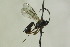  ( - CollHH1288)  @12 [ ] Creative Commons  Attribution Non-Commercial Share-Alike (2018) Hakon Haraldseide Unspecified