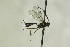  ( - CollHH1291)  @13 [ ] Creative Commons  Attribution Non-Commercial Share-Alike (2018) Hakon Haraldseide Unspecified