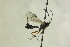  ( - CollHH1294)  @13 [ ] Creative Commons  Attribution Non-Commercial Share-Alike (2018) Hakon Haraldseide Unspecified