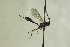  ( - CollHH1295)  @13 [ ] Creative Commons  Attribution Non-Commercial Share-Alike (2018) Hakon Haraldseide Unspecified