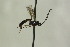  ( - CollHH1307)  @14 [ ] Creative Commons  Attribution Non-Commercial Share-Alike (2018) Hakon Haraldseide Unspecified